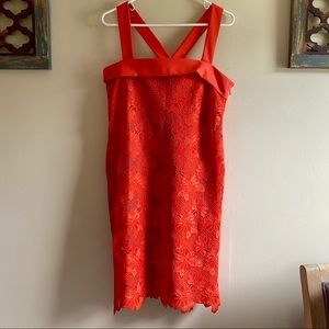 NWT Gorgeous lace shift dress with Bow on back